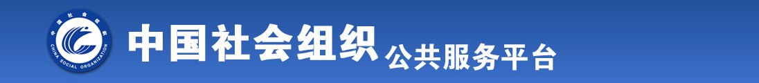 插屄的网站全国社会组织信息查询